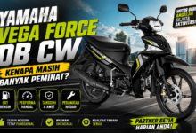 Vega Force DB CW