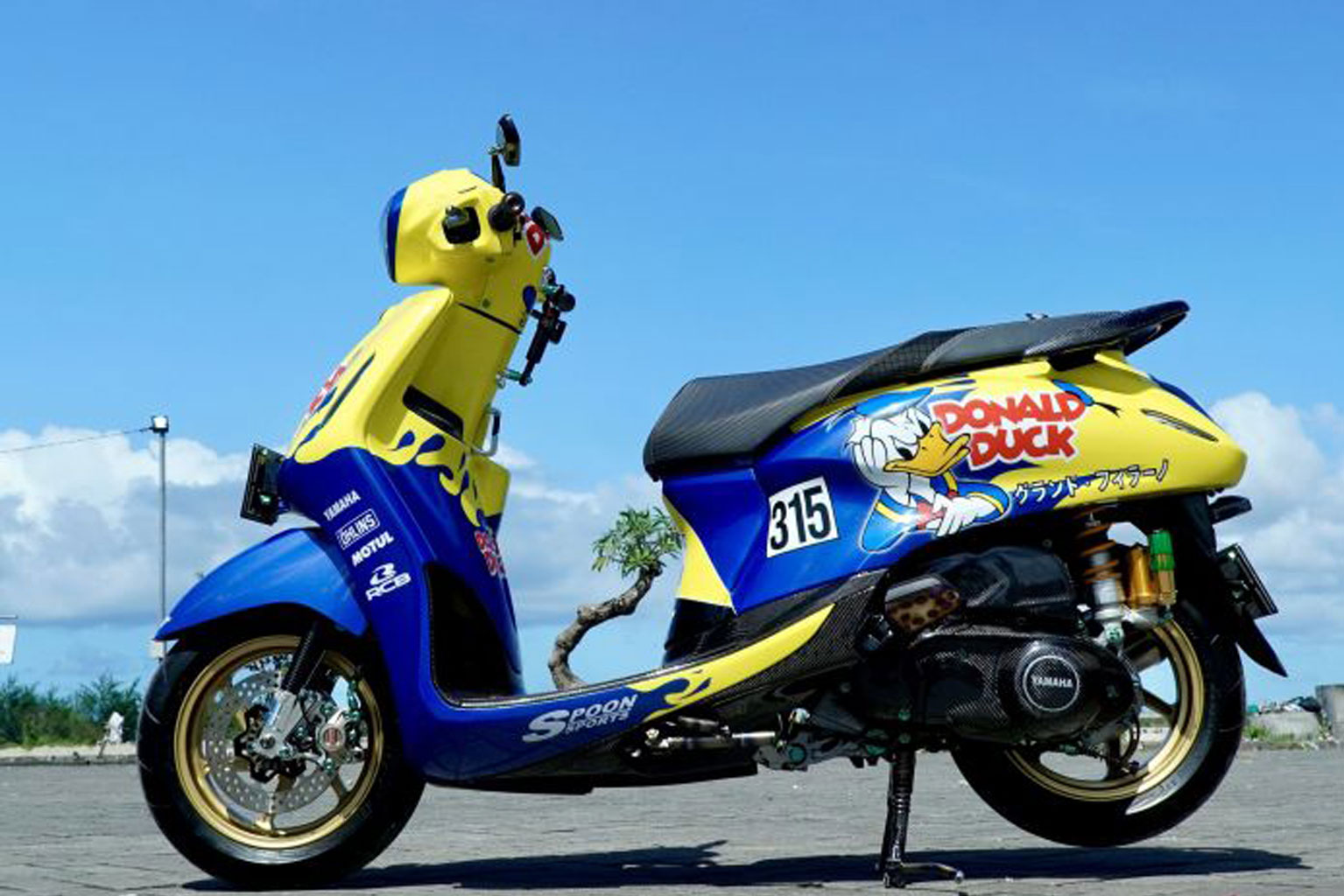 Donald Duck Sport, Pemenang dari Bali