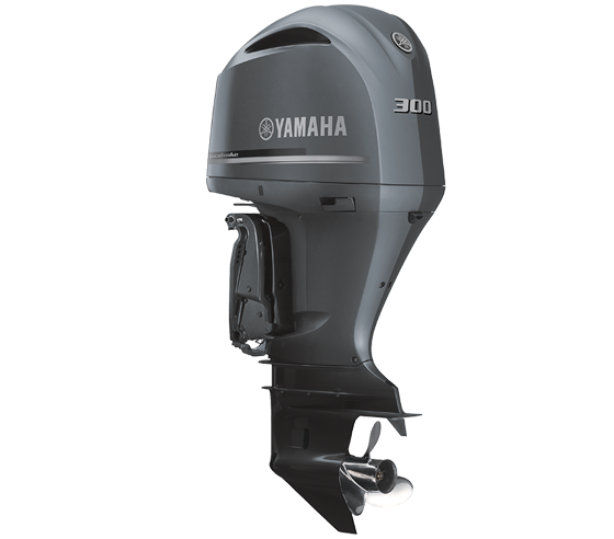 F300BET FL300BET (300 PK)